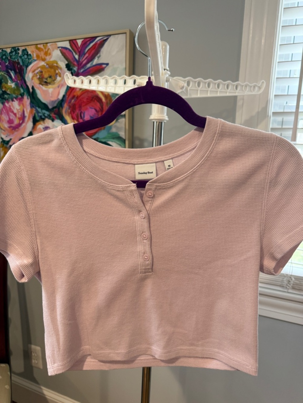 Sunday Best  (Aritzia brand) Short Sleeve Henley Tee - Light Pink